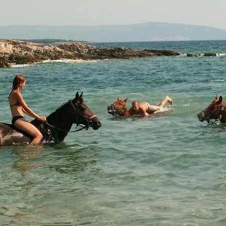 Luxury Sea شقة